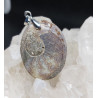 Pendentif ammonite
